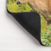 Tapis De Souris Young Buck (Coin)