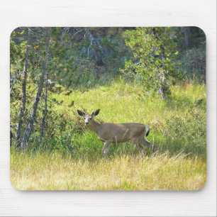 Tapis De Souris Young Buck in Yosemite, CA