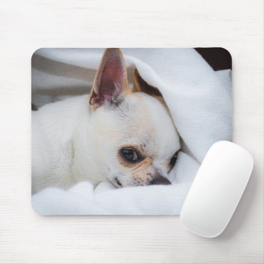 Tapis De Souris Your pet dog puppy custom photo chihuahua (Avec souris)