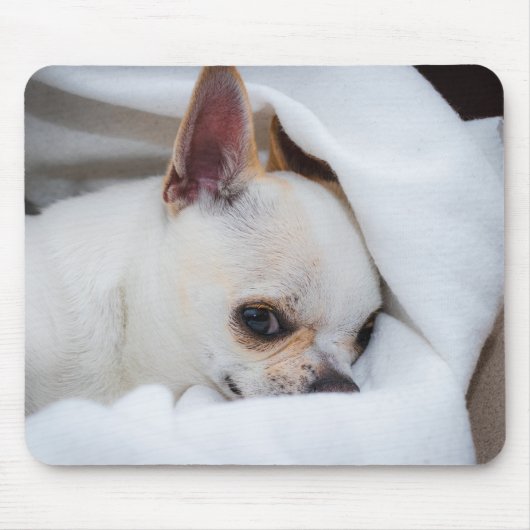 Tapis De Souris Your pet dog puppy custom photo chihuahua (Devant)