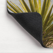 Tapis De Souris Yucca dans le désert, Mexique (Coin)