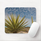 Tapis De Souris Yucca dans le désert, Mexique (Avec souris)