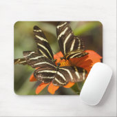 Tapis De Souris Zebra Longwing (heliconius charitonia) sur fleur (Avec souris)