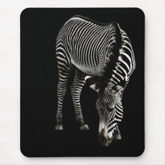Tapis De Souris Zebra P4435 Mousepad (Devant)