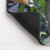 Tapis De Souris Zen attitude (Coin)