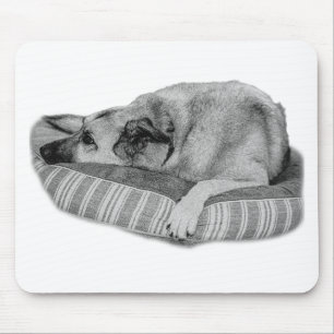 Tapis de souris Zen Desk, Coussin pour chien Loung