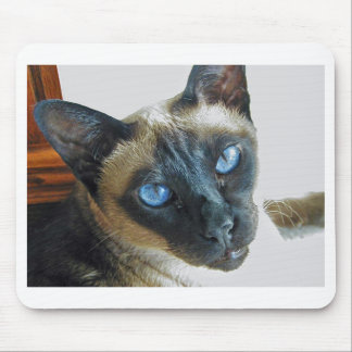 Tapis De Souris ZenaLrg_7_20_05_edited-1