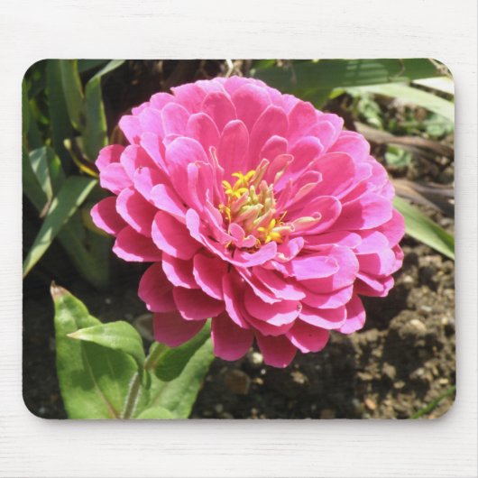 Tapis De Souris Zinnia Mousepad rose (Devant)