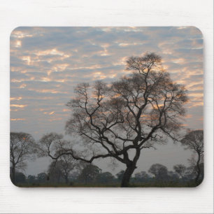 Tapis De Souris Zones humides du Pantanal   Amérique du Sud, Brési