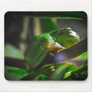 Tapis De Souris Zoo de Sydney - Grenouille d'arbre vert