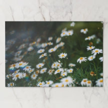 Tapis de table en papier Daisy Garden lunatique et