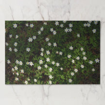 Tapis de table en papier Fleurs de forêt