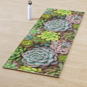 Tapis De Yoga Aménagement de jardin botanique succulent