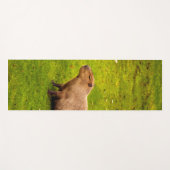 Tapis De Yoga Capybara (Devant (Horizontal))