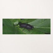 Tapis De Yoga Dorcus parallelipipedus, le moindre dendroctone du (Dos (Horizontal))
