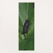 Tapis De Yoga Dorcus parallelipipedus, le moindre dendroctone du (Dos)