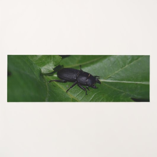 Tapis De Yoga Dorcus parallelipipedus, le moindre dendroctone du (Devant (Horizontal))