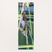Tapis De Yoga Grenouille (Dos)