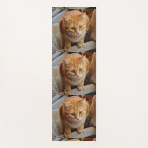 Tapis De Yoga Modèle photo Carrelé famille animal chat chien