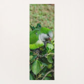 Tapis De Yoga Perroquet vert (Dos)