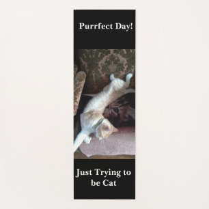 Tapis De Yoga Photo de chat amusant