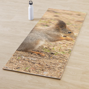 Tapis De Yoga Photo d'un écureuil mignon mangeant une noix