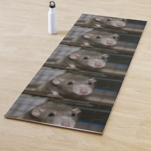 Tapis De Yoga Rat curieux