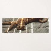 Tapis De Yoga Stretch Cat double face Yoga Mat (Devant (Horizontal))