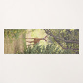 Tapis De Yoga Un cerf solitaire (Devant (Horizontal))