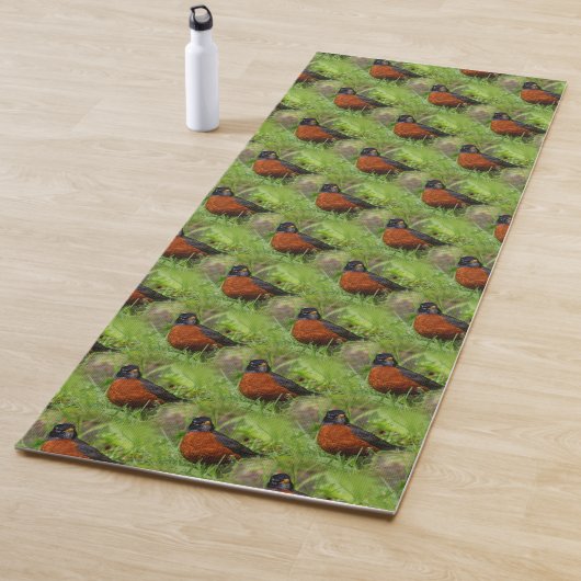 Tapis De Yoga Un Curieux Robin Américain (En situation)