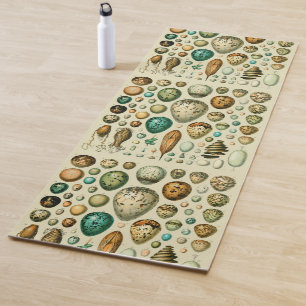 Tapis De Yoga Vintage Bird Eggs French Fish Egg