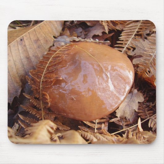 Tapis glissant de souris de champignon de Jack (Devant)