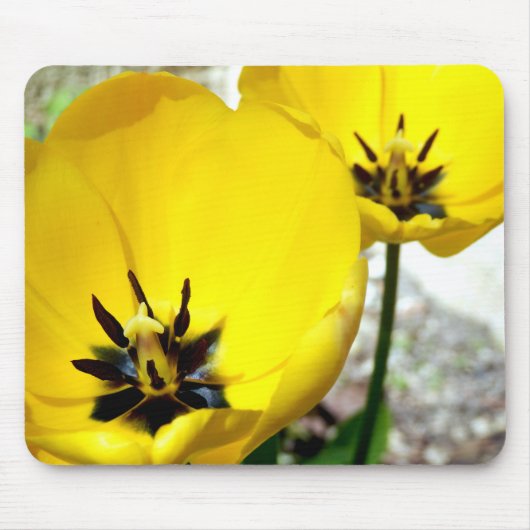 Tapis jaune de souris de tulipe (Devant)
