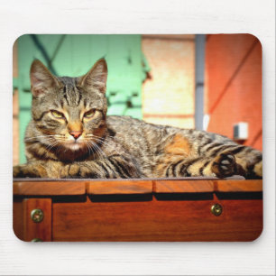 Tapis muizen kat op tuintafel muismat