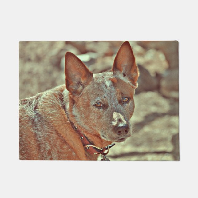 Tapis rouge de Heller de boomer (Devant)