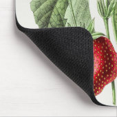 Tapis vintage de la souris à fraise (Coin)