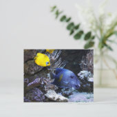 Tapish briefkaart (Staand voorkant)