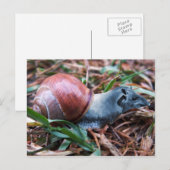 Tapisnagelbriefkaart Briefkaart (Voorkant / Achterkant)