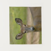 Tapisserie de cerfs (Devant)