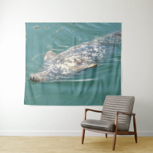Tapisserie de phoque mignon et drôle flottant sur