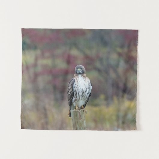 Tapisserie Hawk (Devant (Horizontal))