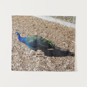 tapisserie Paon bleu indien