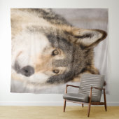 Tapisserie photo de loup animal mignon faune (En situation (horizontale))