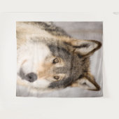 Tapisserie photo de loup animal mignon faune (Devant (Horizontal))