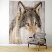 Tapisserie photo de loup animal mignon faune (En situation)