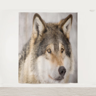 Tapisserie photo de loup animal mignon faune