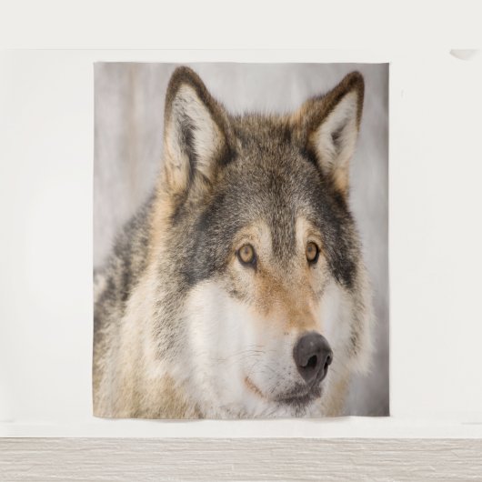 Tapisserie photo de loup animal mignon faune (Devant)