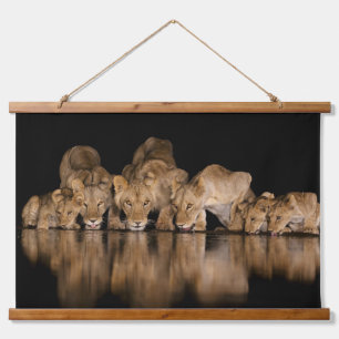 TAPISSERIE SUSPENDUE 