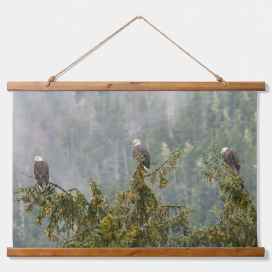 Tapisserie Suspendue Aigles chauds | Tongass National Forest Alaska (Devant)