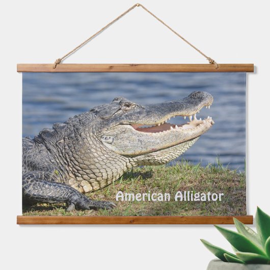 Tapisserie Suspendue Alligator Wildlife Nature Closeup Photographie